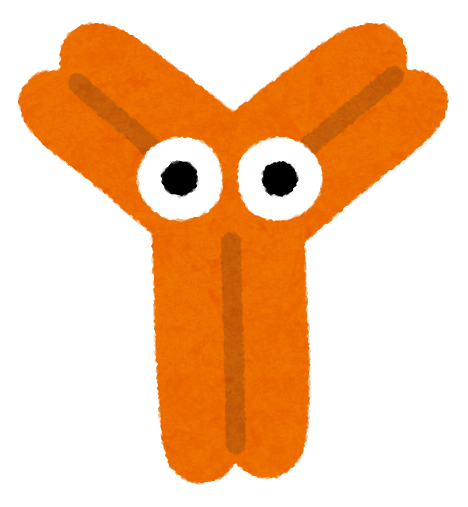body_character_koutai_antibody_orange.png