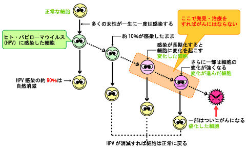 子宮頸がんが発生するメカニズム